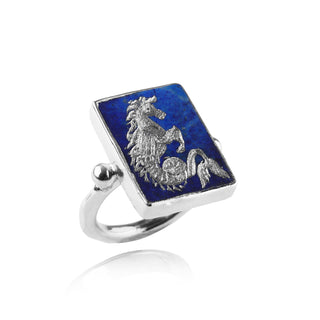 The Hippocampus Ring