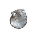 Mother of Pearl Jewellery