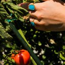 The Athens Ring