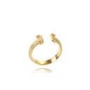 The Ionic Ring