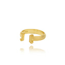 The Ionic Ring