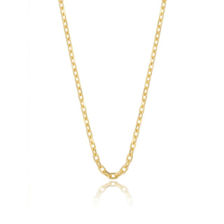 The Signature Chain Necklace