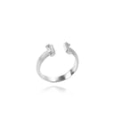 The Ionic Ring